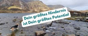 Hund, der ein Gewässer mit Steinen überquert, symbolisch für Hindernisse und persönliche Entwicklung.