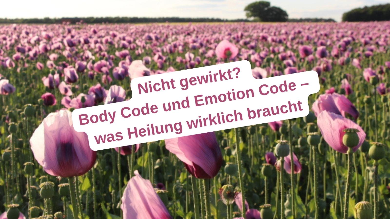 Blühendes Mohnfeld mit dem Schriftzug „Nicht gewirkt? Body Code und Emotion Code – was Heilung wirklich braucht“
