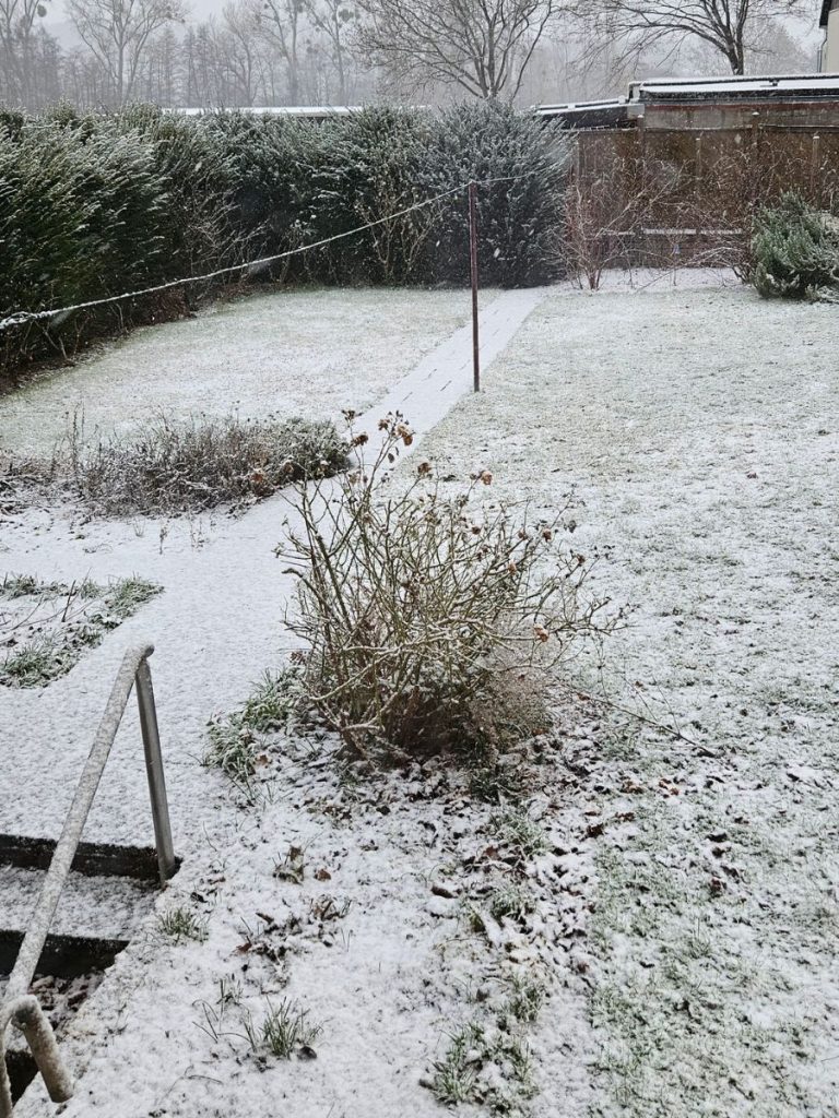 Garten im ersten Schnee als ruhiges Winterbild für Rückzug und Wandlung